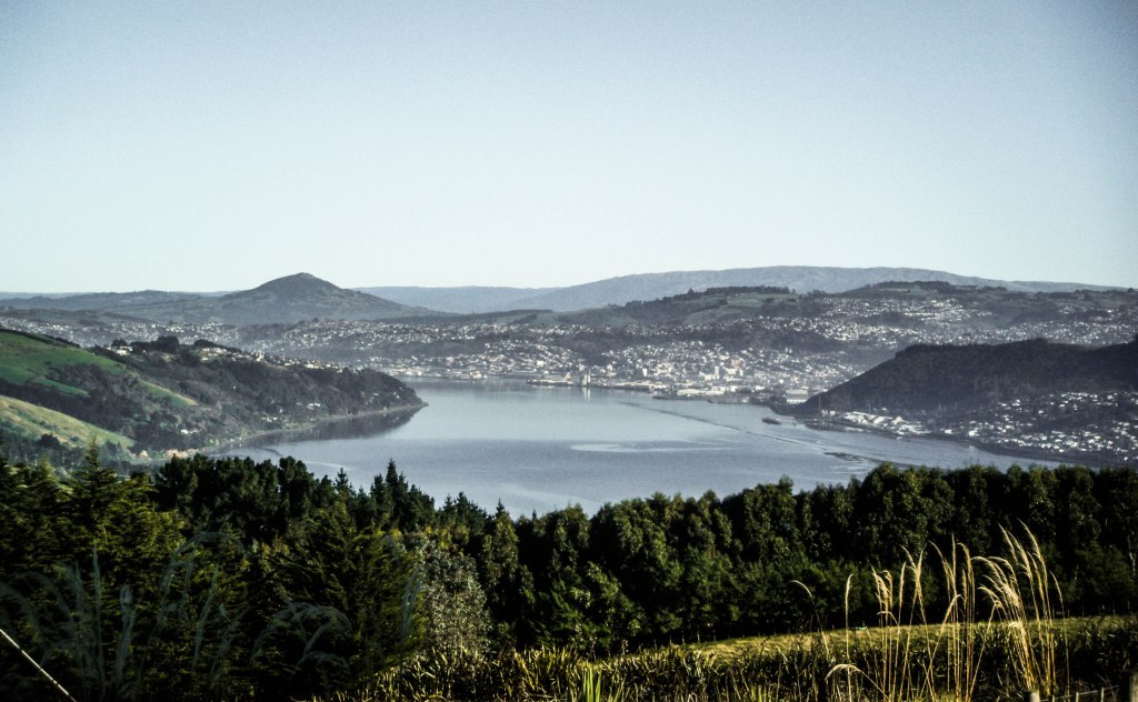 Dunedin and around
