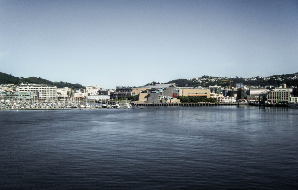 What to do in Wellington