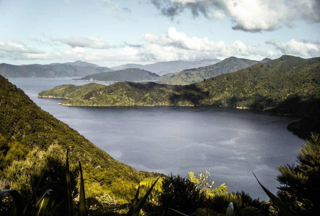 Hiking the Queen Charlotte Sound track