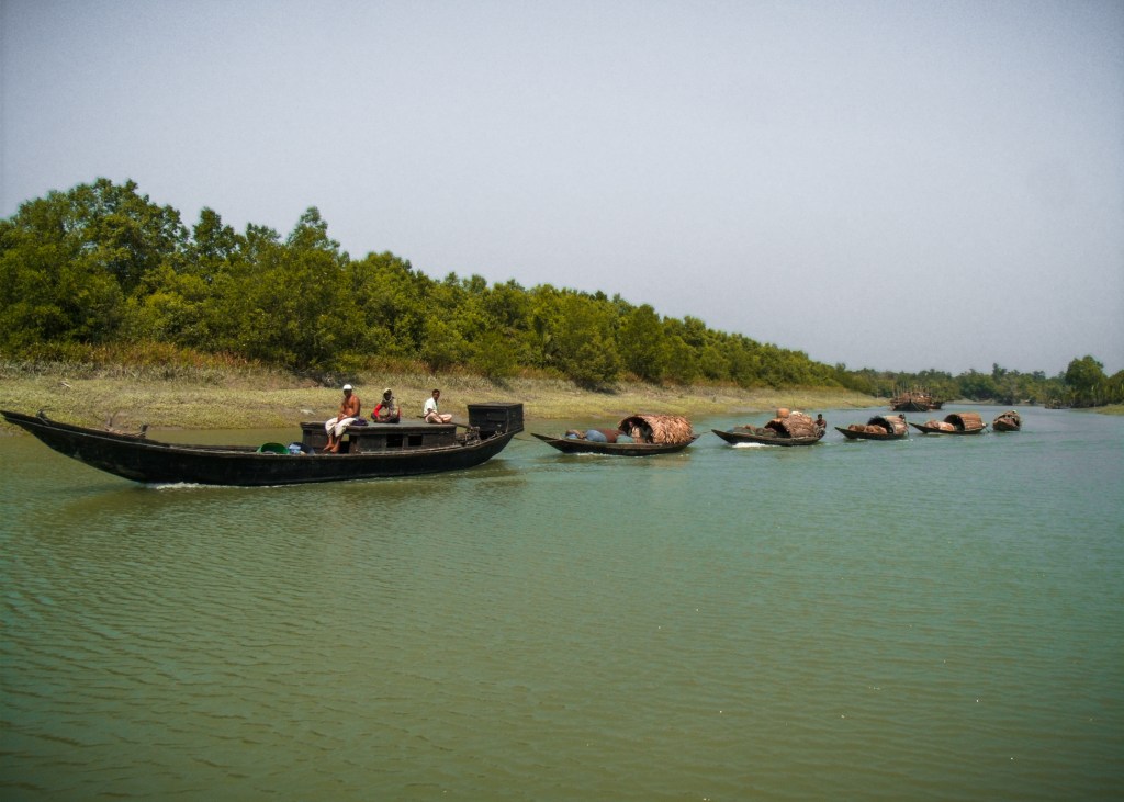 Southwest Bangladesh: Bagarhat, Mongla, and the Sundarbans