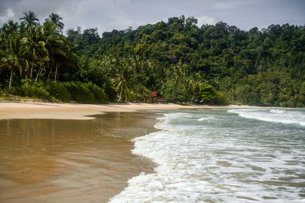 Dinosaur hunting on Pulau&nbsp;Tioman