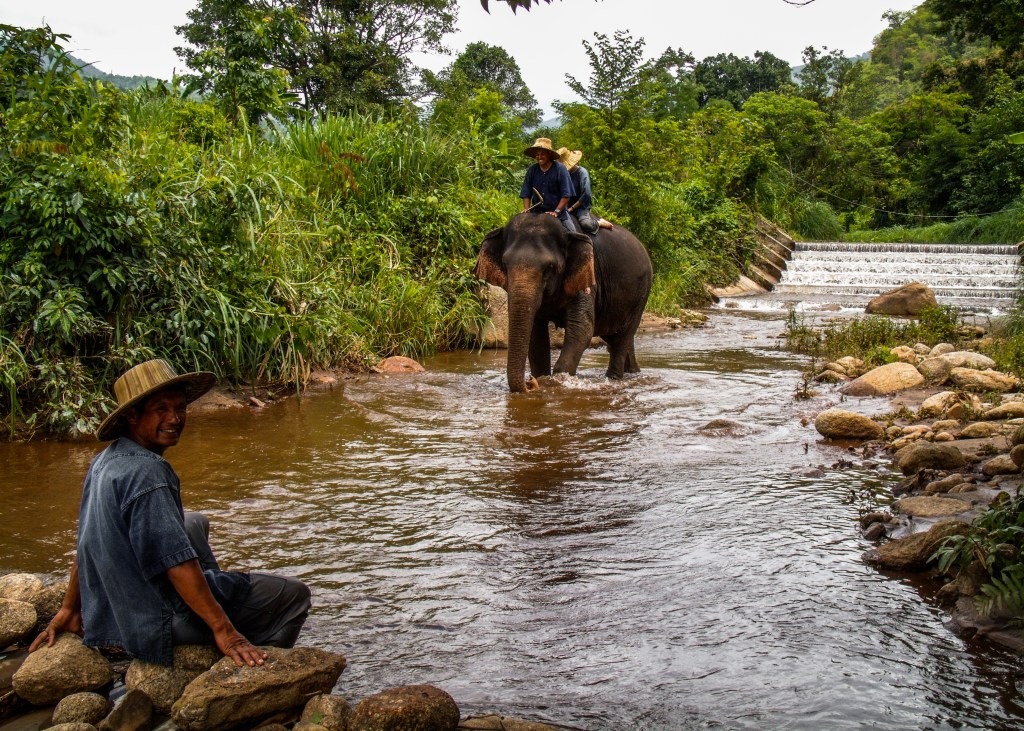 Chilling in Chiang Mai