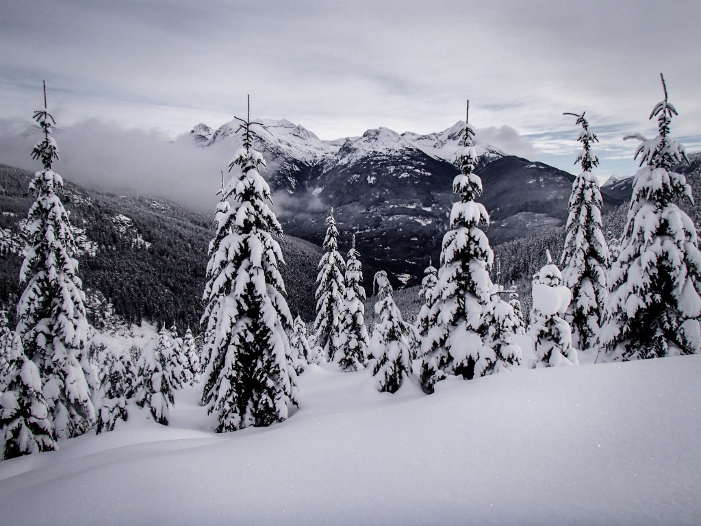 The Working Holiday Club and Canadian visa&nbsp;application