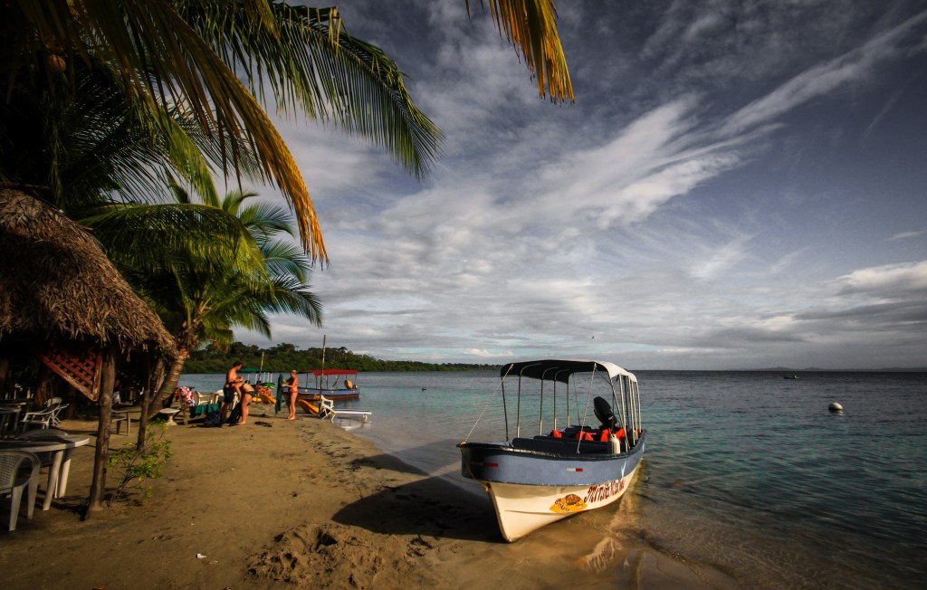 Kayaks and starfish on Bocas del&nbsp;Toro