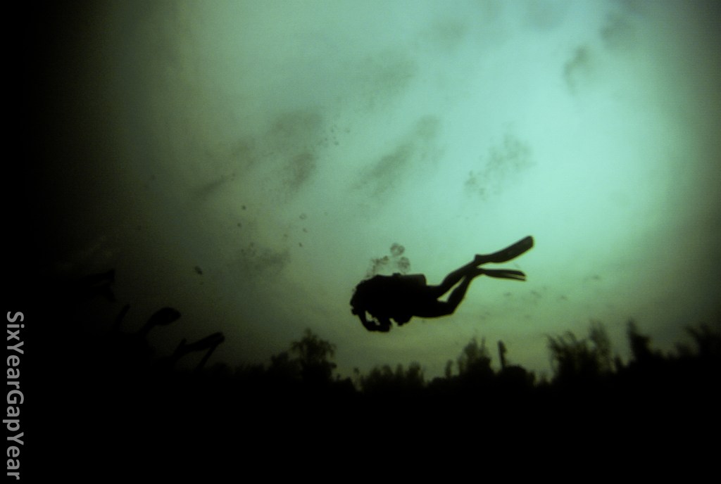 Why scuba diving in Utila was a let down