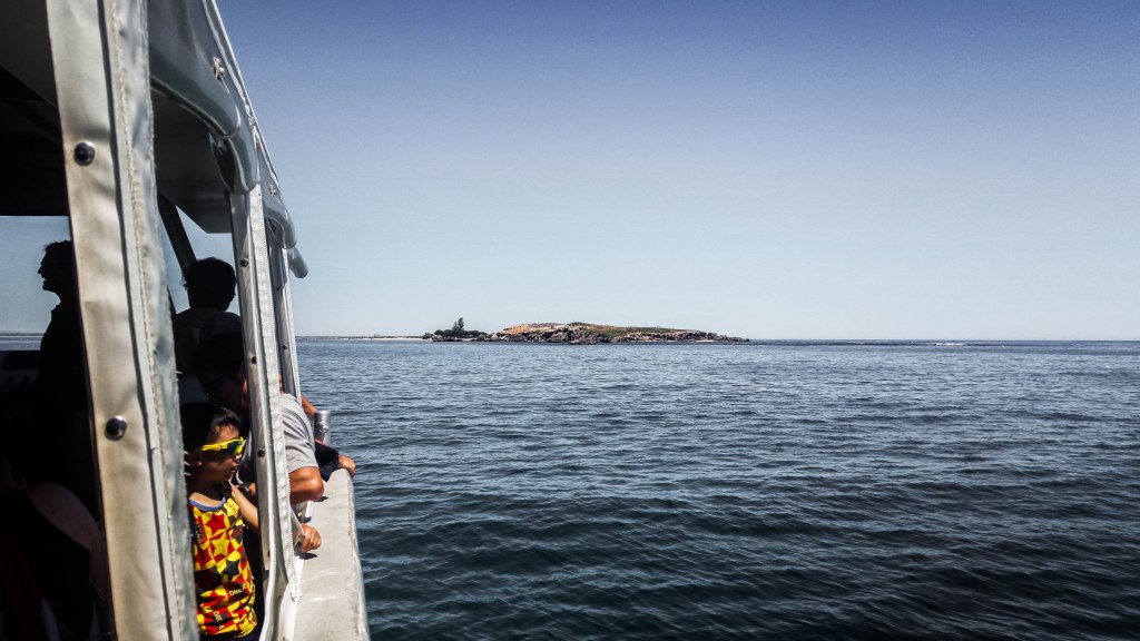 A Western Australia Road Trip: Penguin Island and the Busselton&nbsp;Jetty