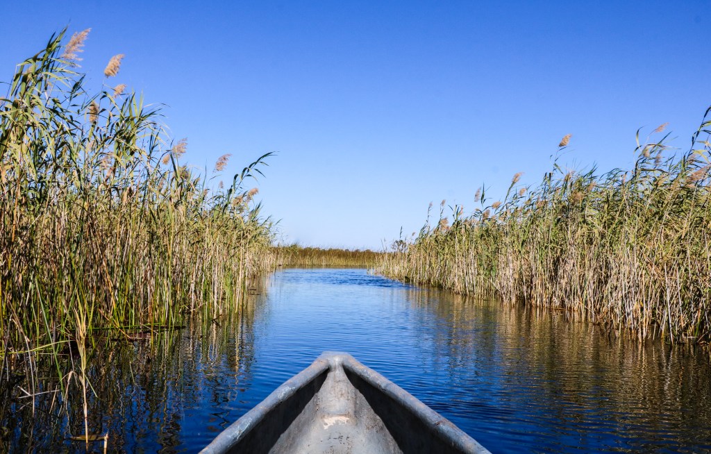 A relaxing week in beautiful&nbsp;Botswana