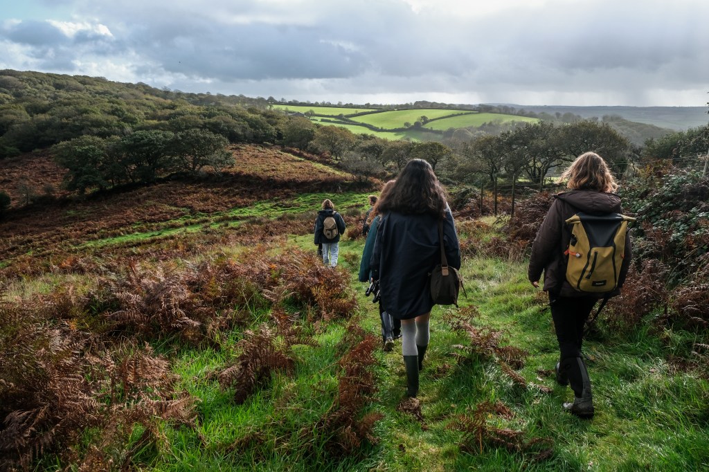 Restoring the ancient woodland of Cabilla